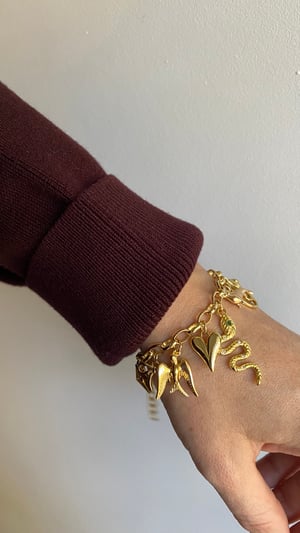 Image of Charms - New