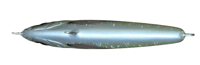 Image 3 of 100g Lime Green Silver Wing Floating Stick Bait