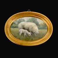 Springtime in the meadow