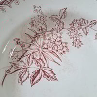 Image 3 of Wonderful Floral Deep Salad/Soup Plate