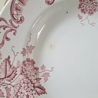 Image 8 of Beautiful Pink Soup/Salad Plates