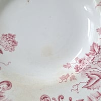 Image 4 of Beautiful Pink Soup/Salad Plates