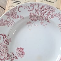 Image 5 of Beautiful Pink Soup/Salad Plates