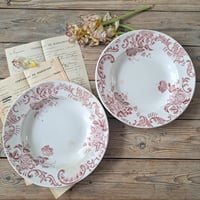 Image 1 of Beautiful Pink Soup/Salad Plates