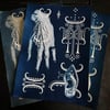 Cyanotype VIII