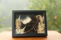 Image 1 of Skunk Face Frame with Florals & Citrine