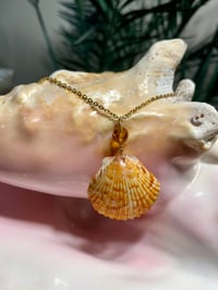 Image 1 of Orange Scallop Necklace with Crystal Accent N139