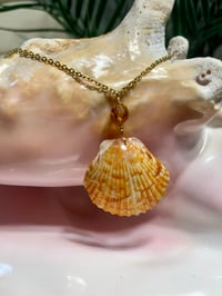 Image 2 of Orange Scallop Necklace with Crystal Accent N139