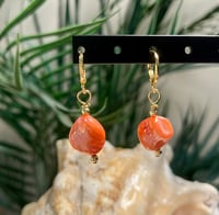 Image 1 of Coral Colored Shell Earrings E115