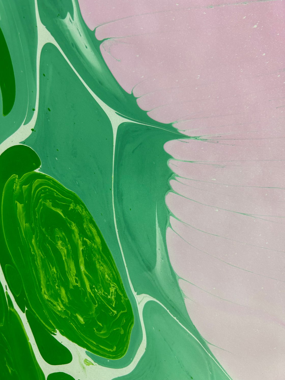 Image of Marbling Print 5