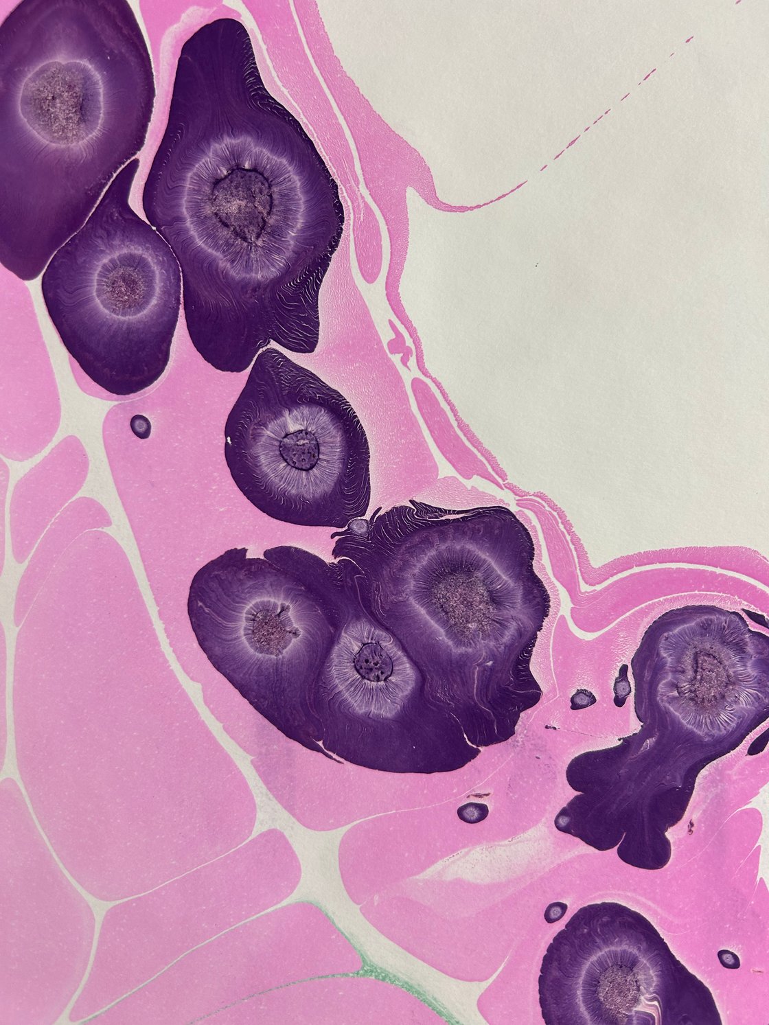 Image of Marbling Print 14