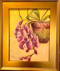 "Steve's Orchids" (11x14)