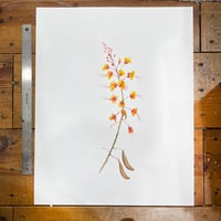 Image 2 of Rihanna IV - Pride of Barbados by Danika Ostrowski - Original Illustration