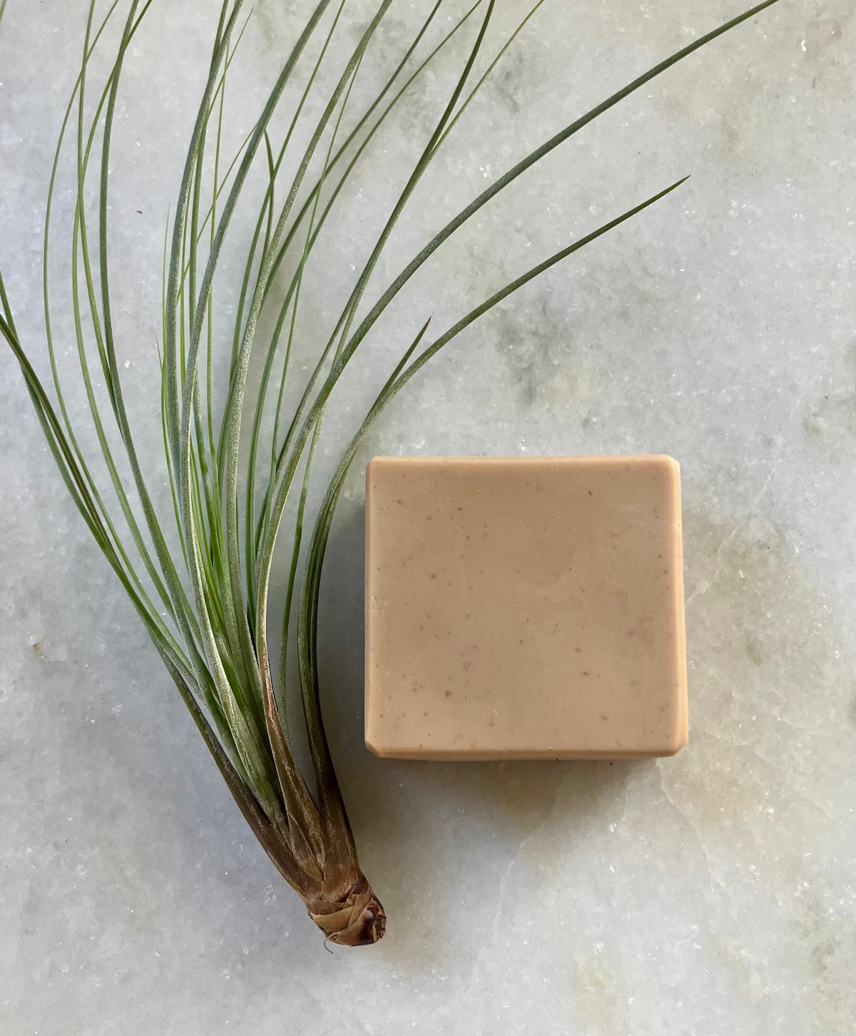 Image of Stout Beard Bar