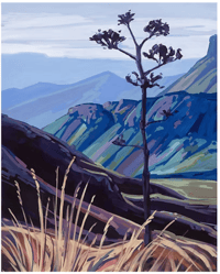 Image 2 of Big Bend Century Plant by Danika Ostrowski - Fine Art Print