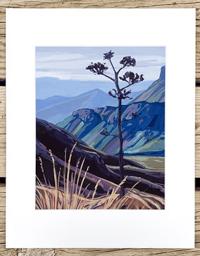 Image 1 of Big Bend Century Plant by Danika Ostrowski - Fine Art Print