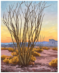 Image 2 of Ocotillo Sunset by Danika Ostrowski - Fine Art Print