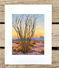 Image 1 of Ocotillo Sunset by Danika Ostrowski - Fine Art Print