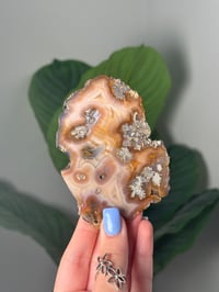 Image 1 of DOUBLE SIDED LAGUNA AGATE SLICE H
