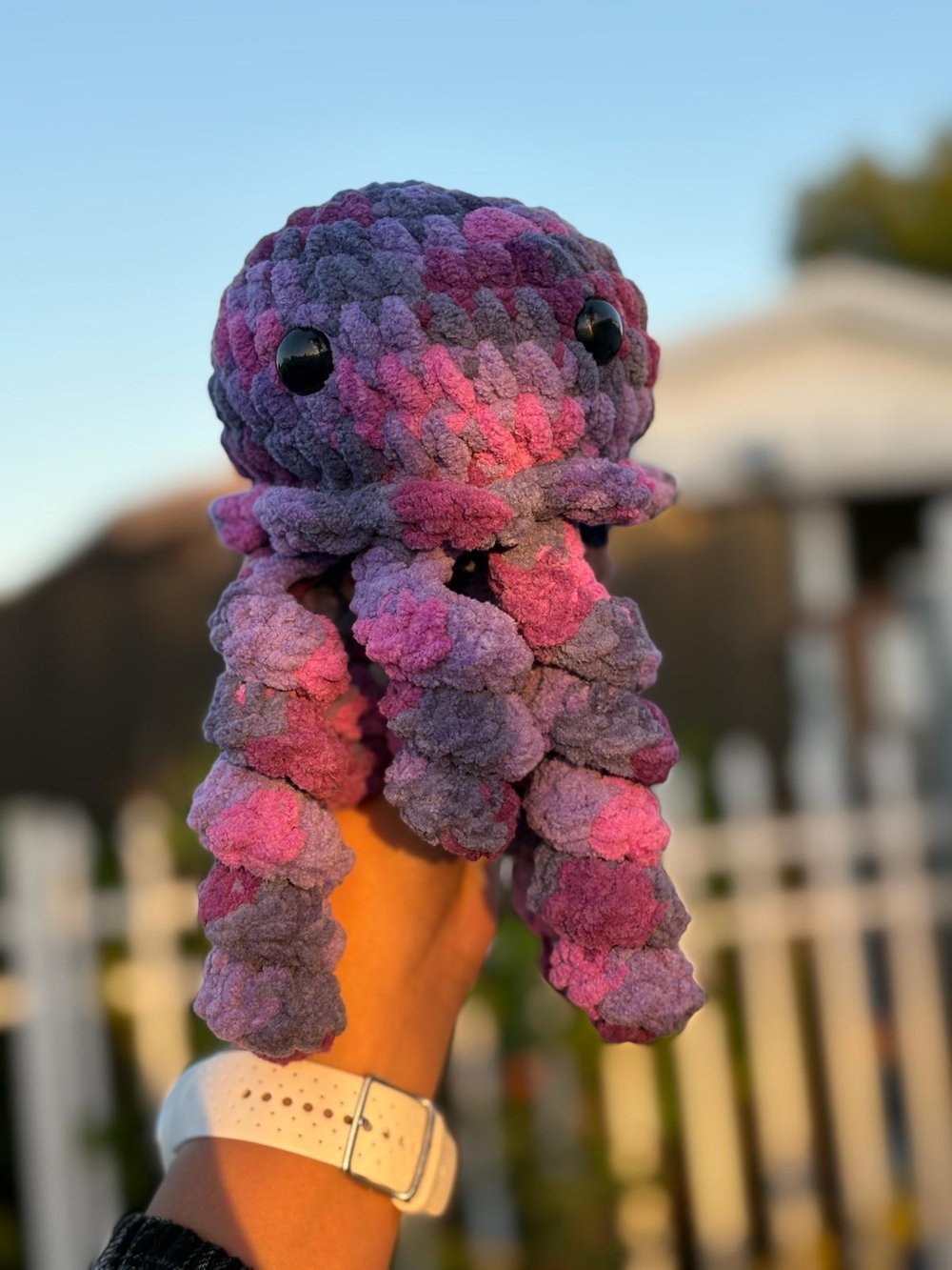 Image of Jellyfish