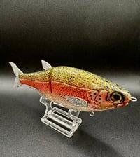 Image 5 of HinK.O. Shad Jr ~ Rainbow Trout ~ Slick Baits