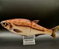Image 1 of HinK.O Shad 9” ~ Pearl Bronze ~ Slick Baits