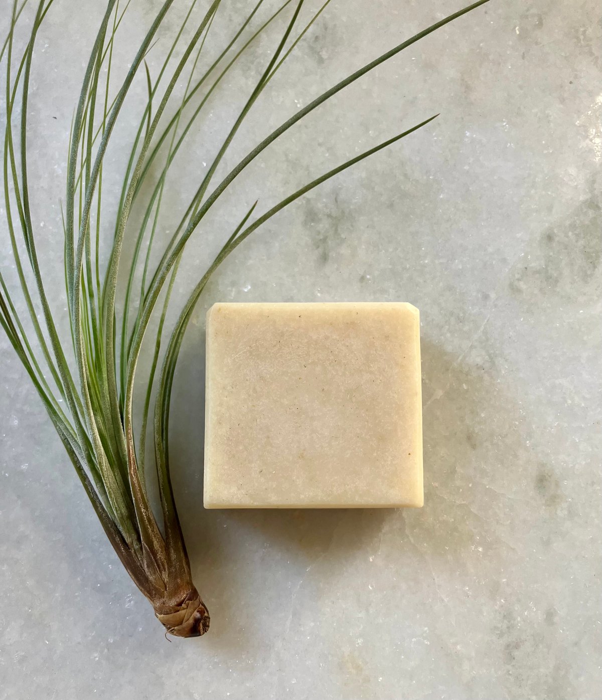Image of Cocoa Butter Beard Bar