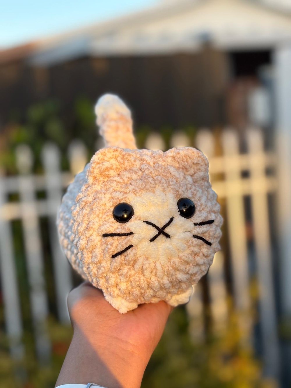 Image of Spotted Face Kitten