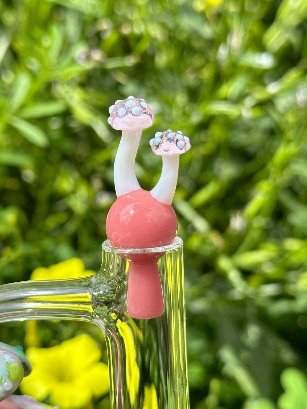 Image of Slurper Caps
