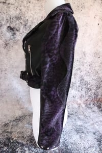 Image 17 of Def Leppard purple Biker Jacket