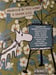 Image of Flatland Blossoms on CD
