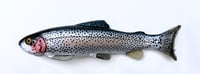 9.25" Line Through/Weedless Trout - Liberty