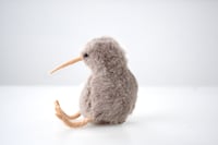 Image 3 of baby kiwi