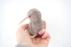 baby kiwi