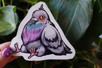 Image 1 of  Madge the Pigeon- Sitting