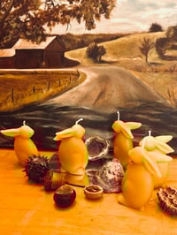 Image 1 of Beeswax Bunnies