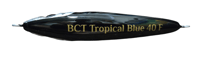 Image 2 of 40g Black Silver Wing Floating Stick Bait