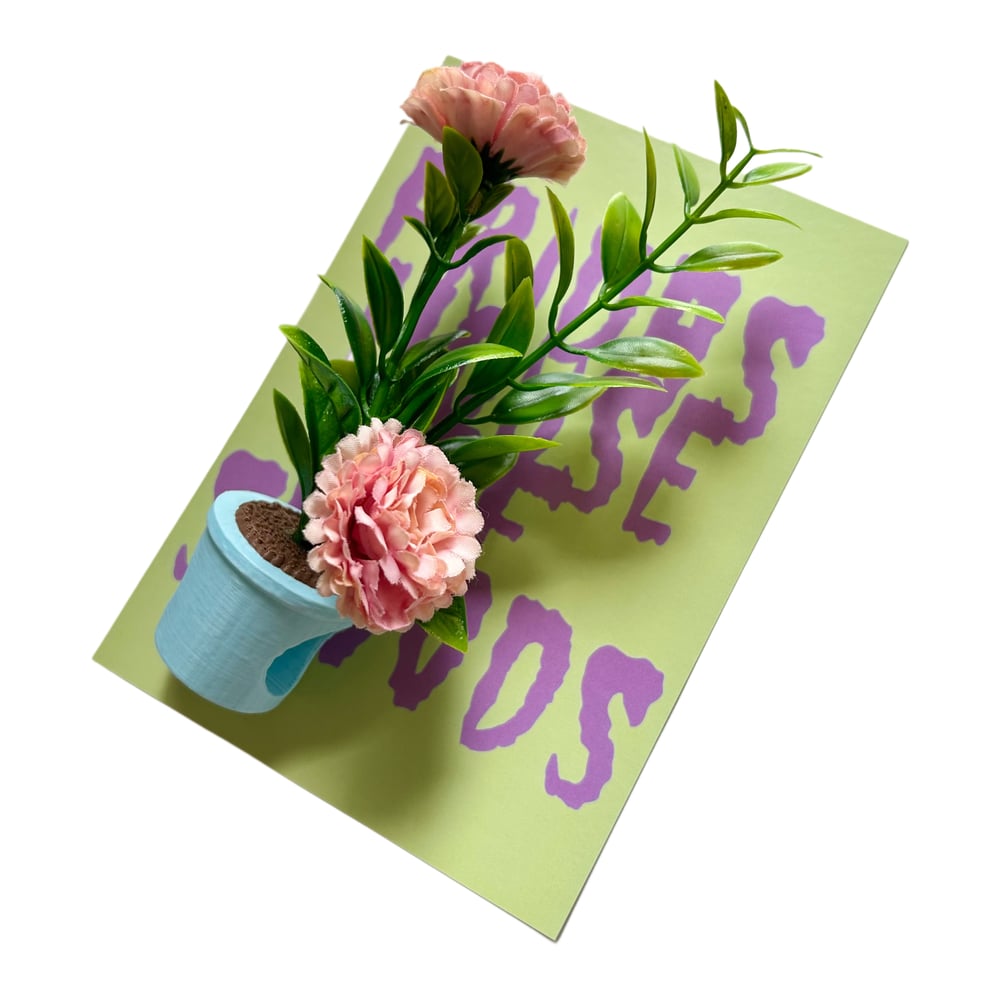 FHOS - Pot Plants