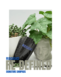Image 2 of Reggio Signature Carbon Shin Pads