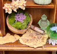 Image 5 of Brown Shelf (Large)