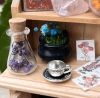 Image 3 of Light Brown Shelf (Medium)