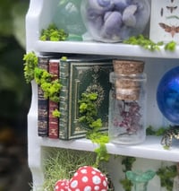 Image 2 of White Shelf (Medium)