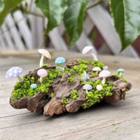 Image 1 of Small Driftwood Piece