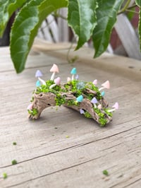 Image 4 of Small Driftwood Piece