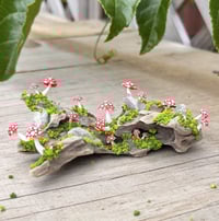 Image 5 of Small Driftwood Piece