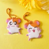 Image 1 of Hamtaro: Puffy Charms
