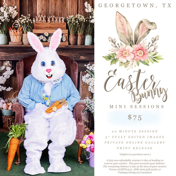 Image of Easter Bunny Mini Sessions 2025