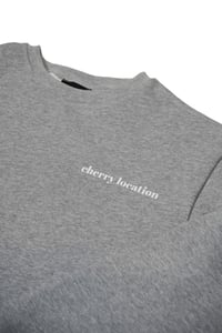 Image 2 of Grey Sweatshirt