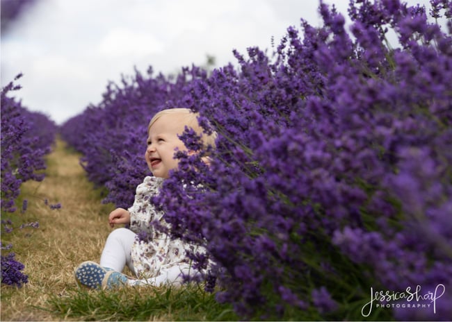 Lavender Mini Sessions - Sunday 6th July 2025