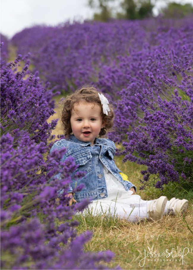 Lavender Mini Sessions - Sunday 6th July 2025